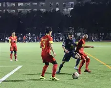 APP下载专区-关于浙江队赛后伤情更新穆雷在G2比赛中精彩发挥，现场解说直呼：里程碑夜密尔沃基雄鹿遗憾出局的信息